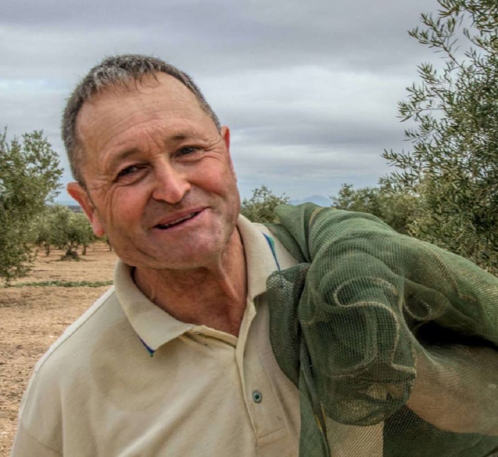 Juan Antonio Martín, an expert cultivatig olives in Andalusia.