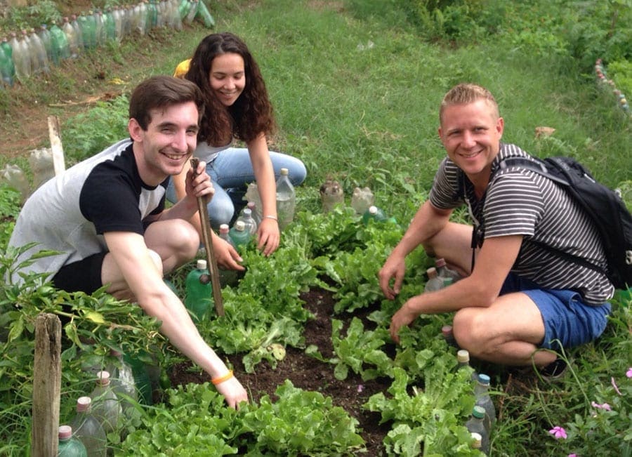 Group volunteering on organic farm in argentina