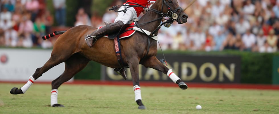 polo in argentina