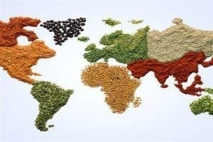 world map of food