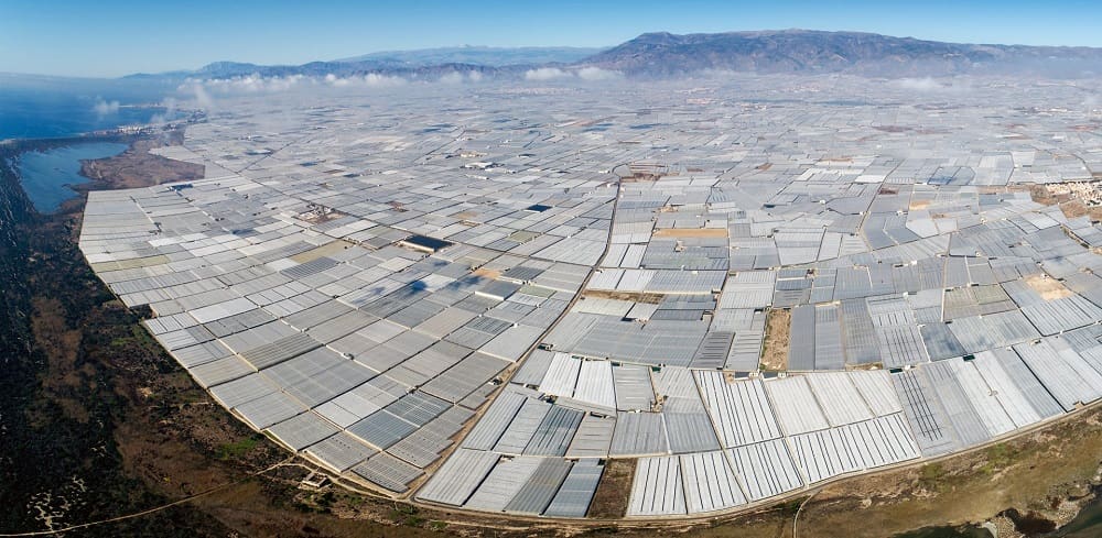 An expansive view of the greenhouses in Almeria, showcasing the scale of fruit and vegetable production in the region. The so-called "Sea of Plastic".
